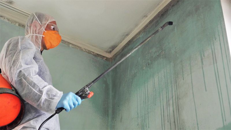 Mold Remediation Service in Jupiter, FL