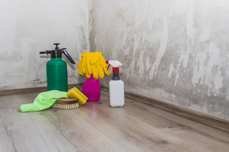 Mold Restoration in Boca Raton, FL