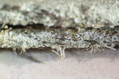 Asbestos Remediation in Monmouth County, NJ
