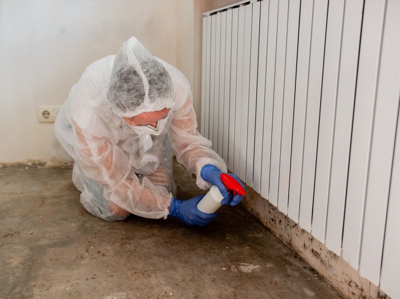 Mold Abatement Service