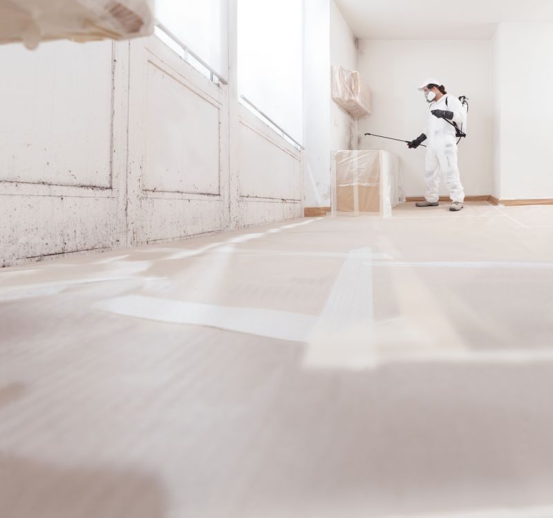 Mold Mitigation Service in Fort Worth, TX