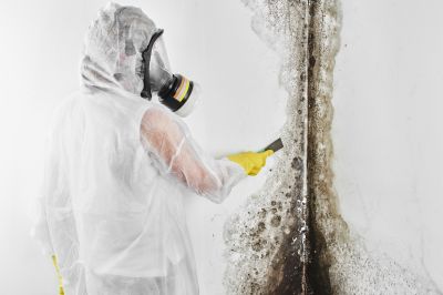 Mold Mitigation Service
