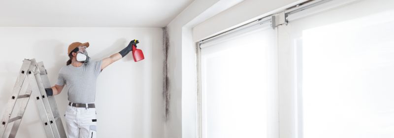 Mold Restoration in Bergen County, NJ
