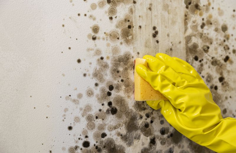 Mold Restoration in Frisco, TX
